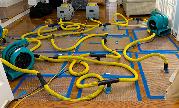 Professional Water Extraction technician working in Cragford, AL